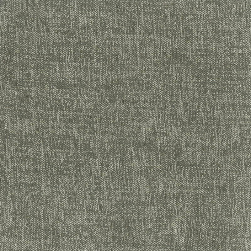 Etching Birch Etching Birch