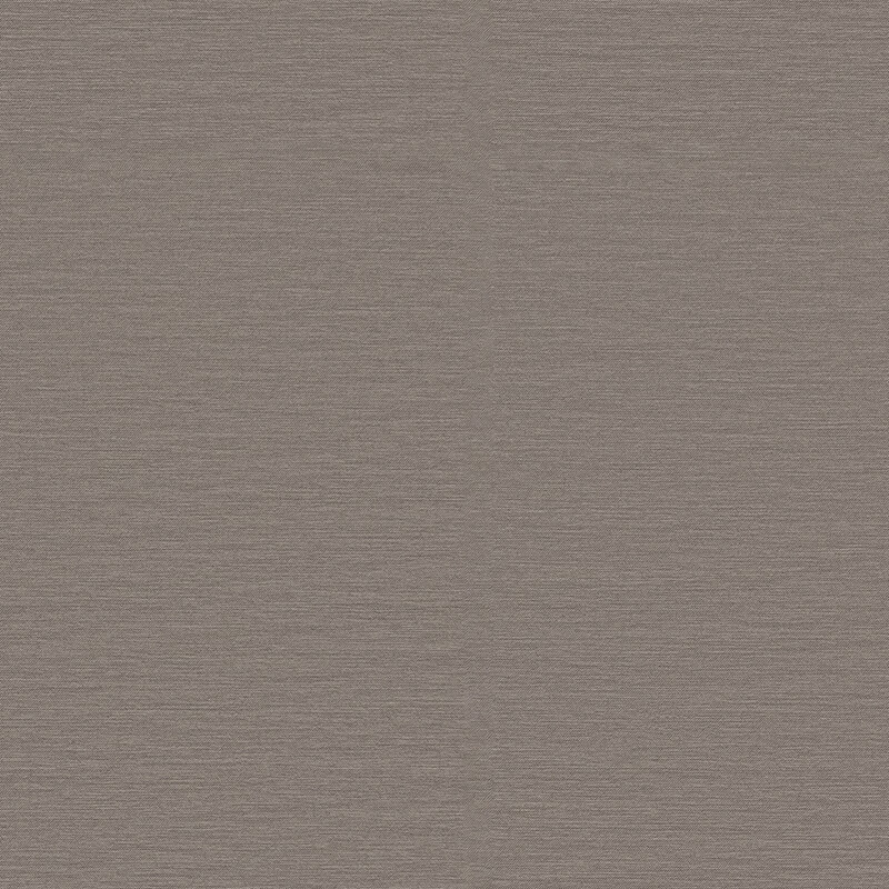 Accolade Plus Graphite Accolade Plus Graphite